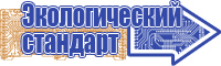 Сапоги эва с композитным подноском